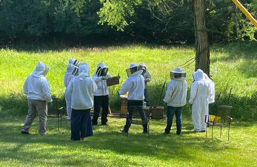 Hands on beekeeping class doing hive inspection