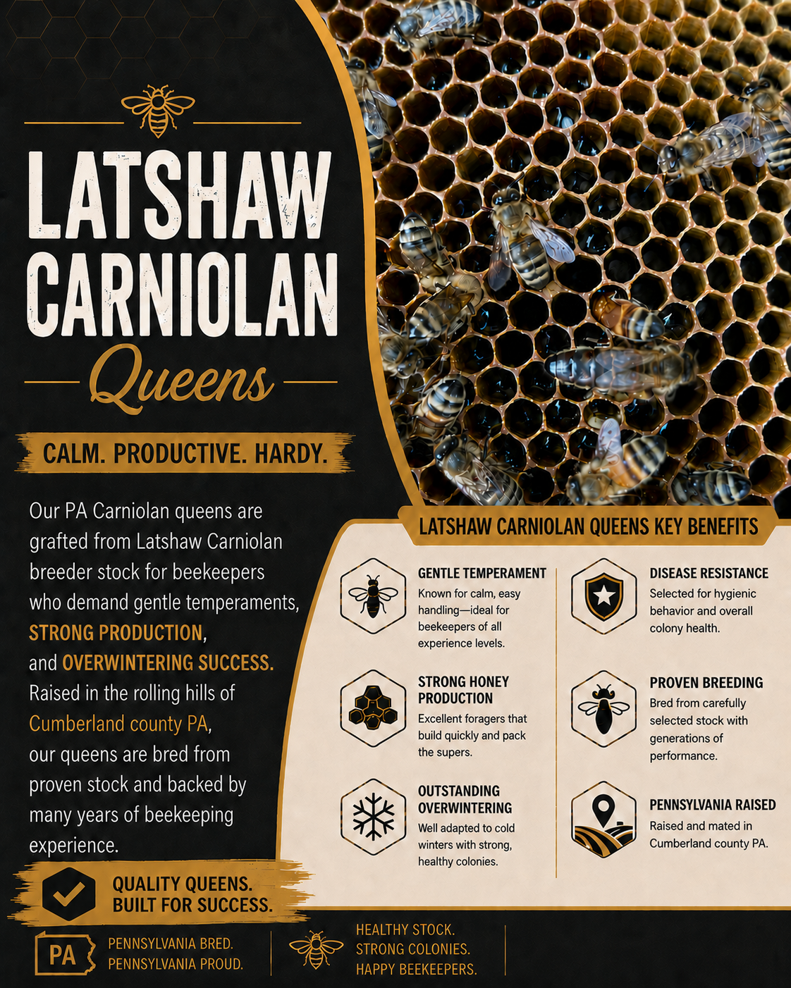 2026 Carniolan Mated and Marked Queen