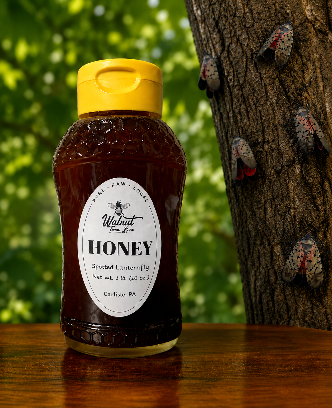 Lantern fly honey