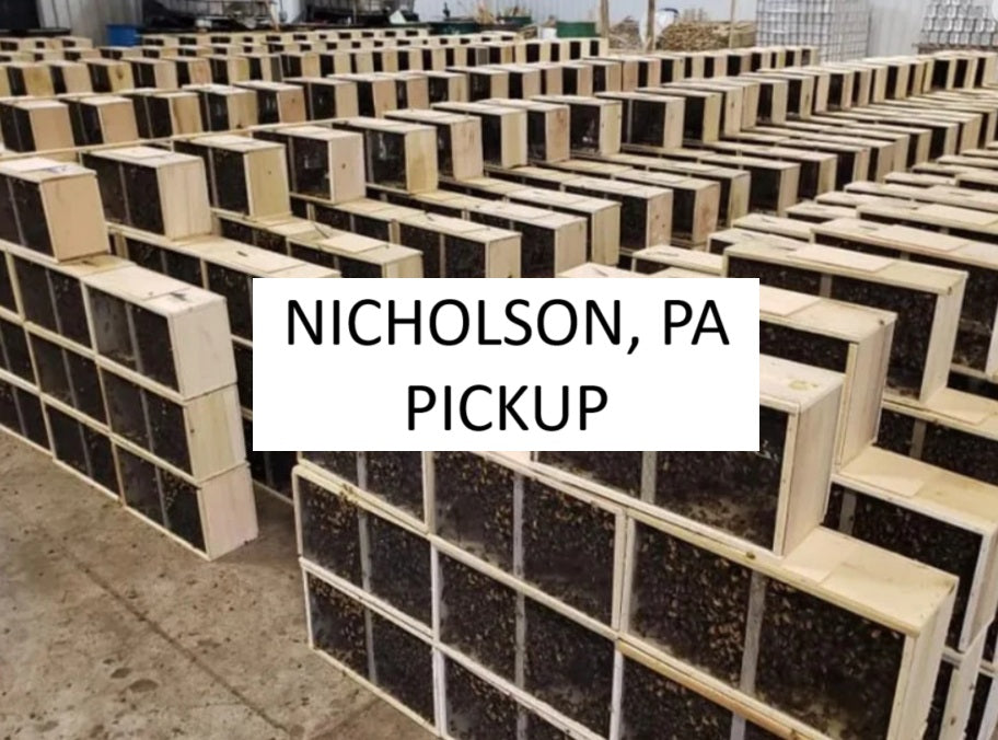 2025 Carniolan Package Bees - NICHOLSON PA