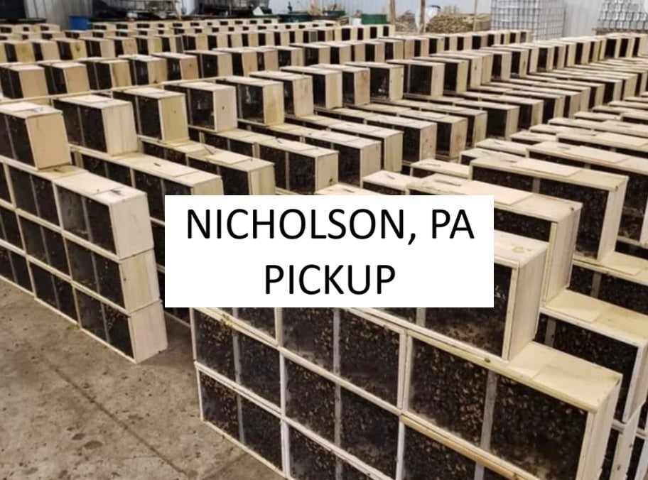 Pre-Order: 2026 Carniolan Package Bees - NICHOLSON PA