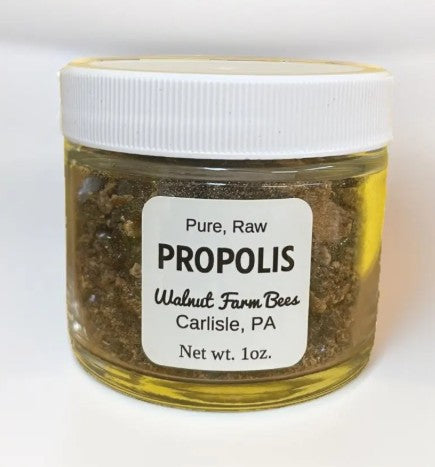 Raw Propolis Chunks, Pieces & Powder (1 oz) - Walnut Farm Bees LLC
